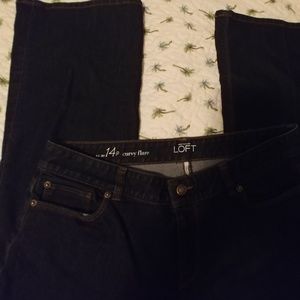 Loft (Ann Taylor) Curvy Jeans